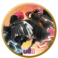u88